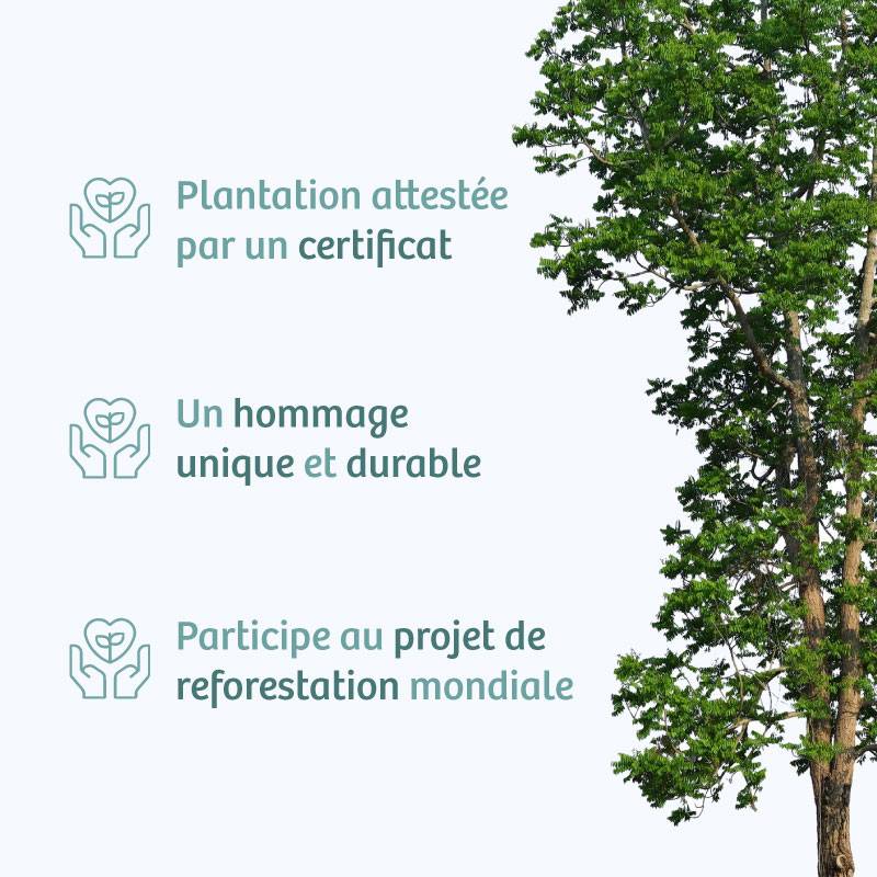Planter un arbre en hommage à Mme Denise Michaud Née DONGAR